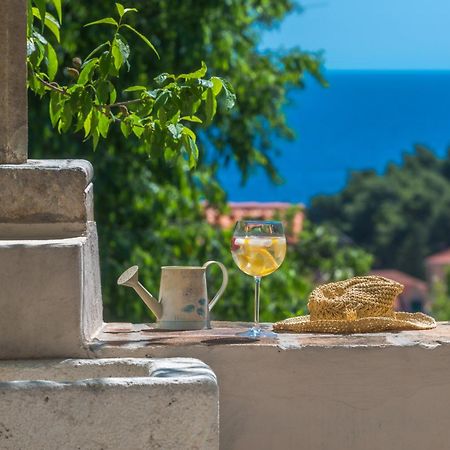 Villa Flores Garden Dubrovnik Exterior photo